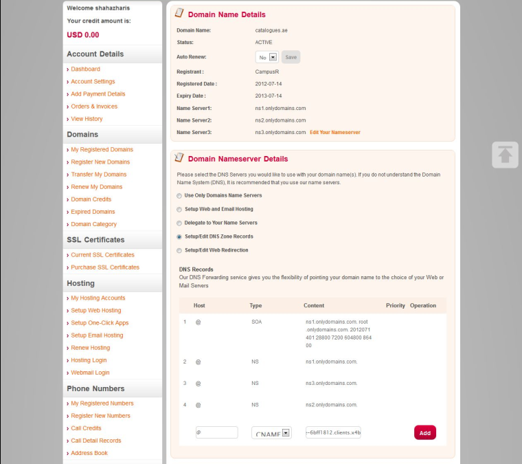 "Adding Records" page
