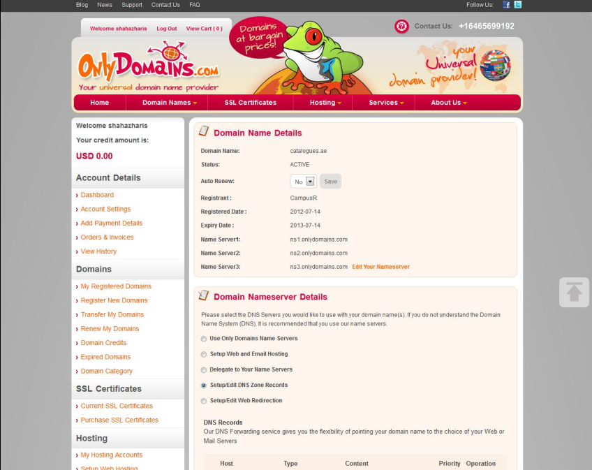 "DNS Manager" page